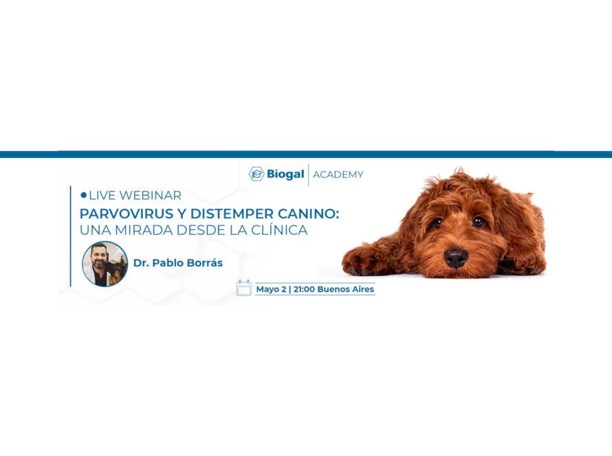 webinar Parvovirus y Distemper Canino - Disertante: Pablo Borrás