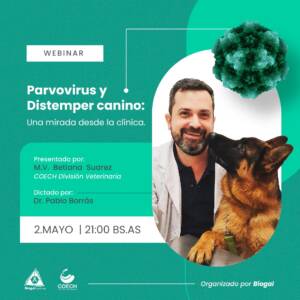 Webinar | Parvovirus y Distemper Canino - Dr. Pablo Borrás